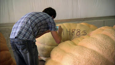 15:00: Shipping Wars (S4 E4) (S4) | TV10 | 5/6 2026