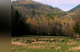 America's 58 National Parks: Great Smokies