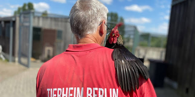 01:00: Hallo Nachbarn! (1/5) | RBB Fernsehen | 3/11 2026