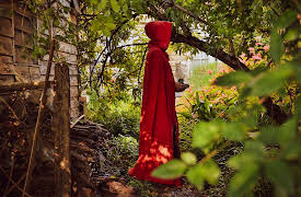 Banned Books, Burned Books: Forbidden Literary Works: Attempts to Suppress #MeToo Books