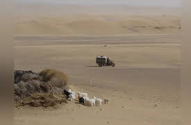 Return of the Bible Plagues: Sandstorm