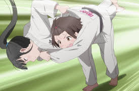 Ippon Again!: Ippon!