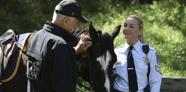 7:00 PM: NCIS (S14 E22) (S14) | 5 USA | 11/12 2025
