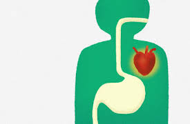 Explained: Why Diets Fail