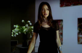 Nikita: Season 1: 2
