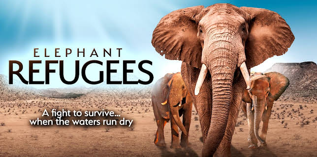 Elephant Refugees (2022)