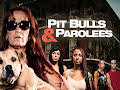 Pit Bulls & Parolees