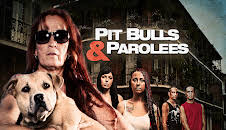 Pit Bulls & Parolees (S7 E5)