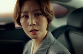 Political Fever: Political Fever