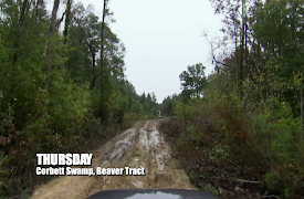 Swamp Loggers: Episode 7