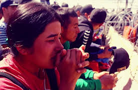 Fareed Zakaria Documentaries, Season 1: Immigration Breakdown: A Fareed Zakaria Special