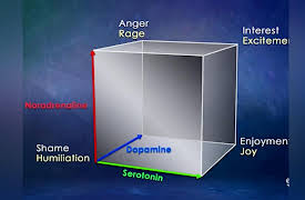 Mind-Body Philosophy: Emotions: Where Mind and Body Meet