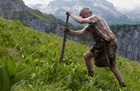 The Secret World of Herbs: In the Alps