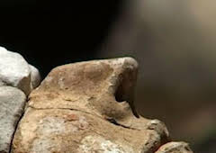 Tarteso, un reflejo en el Guadiana