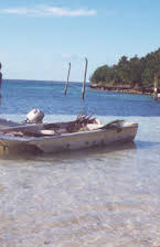 Lee Stanley as Director