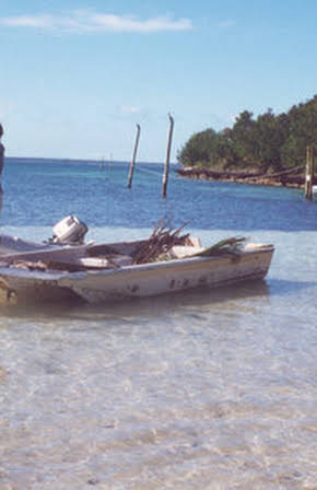 Lee Stanley as Director