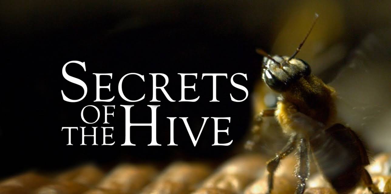 Secrets of the Hive
