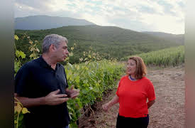 My Greek Table with Diane Kochilas: A Bite of Greek Wine