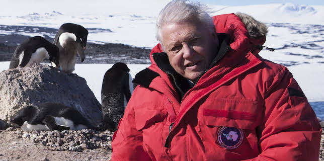 6:00 PM: Frozen Planet (S1 E1) (S1) | Yesterday | 11/30 2025