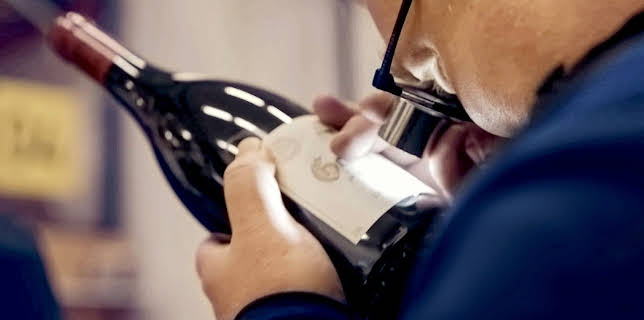 12:55: Samlemani: Dyre druer | NRK 2 | 11/15 2025