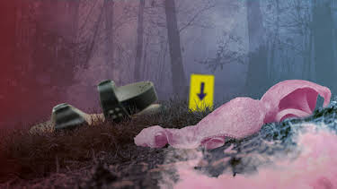 20:15: Rosa Riese - Jagd auf ein Phantom | RBB Fernsehen | 4/15 2026