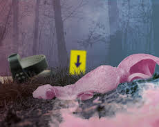 Rosa Riese - Jagd auf ein Phantom