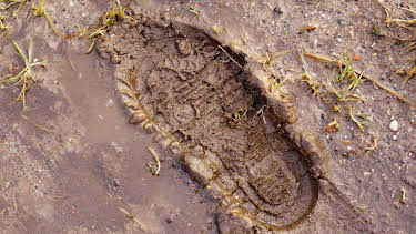 05:00: Extreme Forensics (S2 E22) (S2) | Investigation Discovery | 4/17 2026