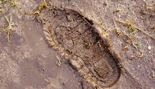 Extreme Forensics (S2 E22)