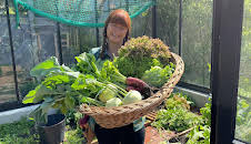 Querbeet