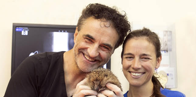 19:25: Der Super-Doc - Einsatz für 4 Pfoten | Sixx | 2/8 2026