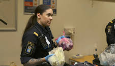 Border Control: Sweden (S1 E6)