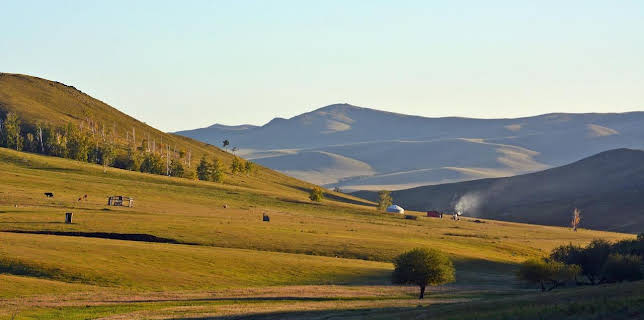 20:15: Mit dem Zug durch die Mongolei | ARD Alpha | 11/14 2025