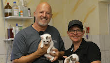 Martin Rütters Tierheimhelden