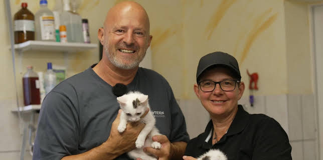 19:10: Martin Rütters Tierheimhelden | VOX | 12/13 2025