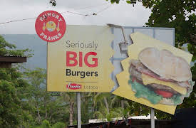 Diabetes The Disease Thats Killing My Family: For Family