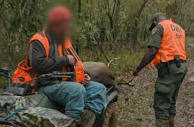 Louisiana Law, Season 1: Deer in the Headlights