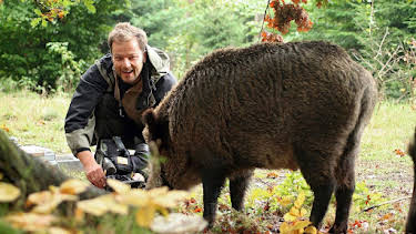 11:05: Abenteuer Wildnis | BR Fernsehen | 8/13 2026