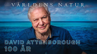 19:00: David Attenborough 100 år | SVT2 | 5/10 2026