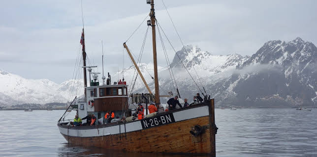 15:05: Eldorado i Lofoten | NRK 1 | 3/7 2026