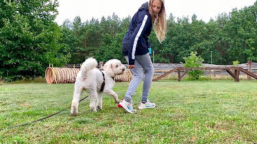 07:45: Liebste Fellnasen – Abenteuer Hundeschule (4/8) | WDR Fernsehen | 8/4 2026