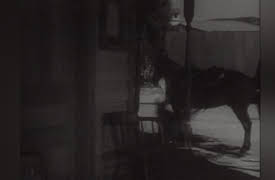 Adventures of Champion: King of the Rodeo