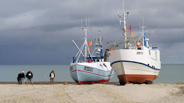 11:00: Leben an der Nordsee | Arte | 4/12 2026