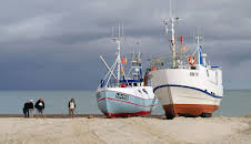 Leben an der Nordsee