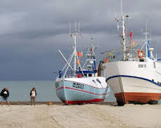 Leben an der Nordsee