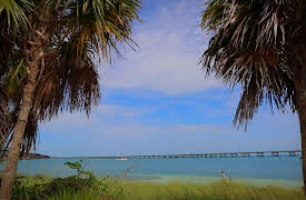 Robson Green's Grandslam Fishing: Florida Keys