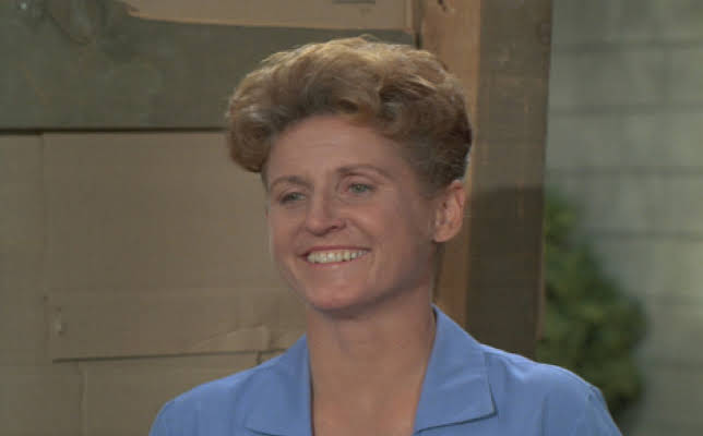 Ann B. Davis