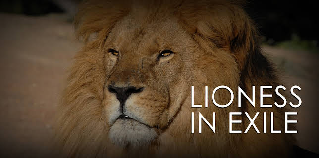 Lioness in Exile (2012)