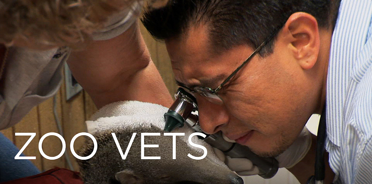 Zoo Vets Season 1