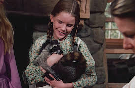 Unsere kleine Farm: Episode 11