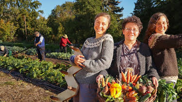 20:15: Erfolgreich mit Permakultur? - Die Frankfurter Stadtfarm | HR Fernsehen | 6/9 2026